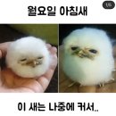 (주)엠알케어 | 왜벌써개강이지