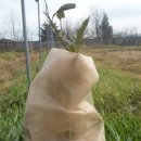 유목농장 이미지