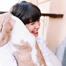 모여라동물병원 이미지