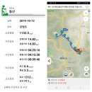 나무 조형물 | 낙동정맥 01구간 구봉산 유령산 191012