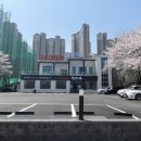 짬뽕지존수지 이미지