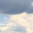 심다누팜 이미지