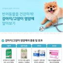 삼십팔점오 이미지