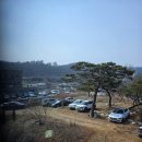 옥길동 마카롱 | 옥길동 베이커리 카페 '더옥길 베이커리&amp;브런치카페' 다녀온 후기(너무너무좋아요)