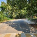 사라실 예술촌 이미지