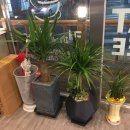 커피에반하다(괴안점) 이미지