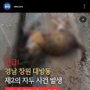 경남 창원 대방동 제 2의 자두 사건 발생 목격자를 찾습니다 이미지