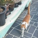 대청로21번길 이미지