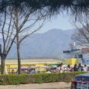 조정경기장 화장실 이미지