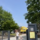 갈천초등학교 | 울산 아이와 가볼만한 곳 언양 큰나무놀이터 재방문 후기 예약방법 등