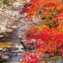 피아골 단풍공원 이미지