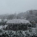 인천보건고등학교 이미지