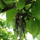 미양농협협동조합 이미지