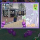 (주)대영운수제주 노동조합 | 벌써 시벌이라고?