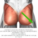 [동영상] 발차기 팁_Flutter Kick from the Hips (Key point) 이미지