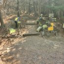 산림욕장 이미지