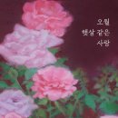 참사랑힐링