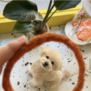 율무상점 이미지