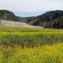 옥룡사지 이미지