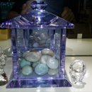 천사 애견 이미지