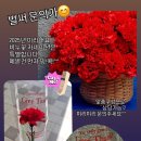 리본미리내 이미지