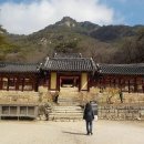오봉산삼계탕 | 춘천시 여행 한달하기 23일째 날