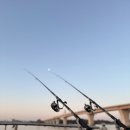 도원선착장 이미지