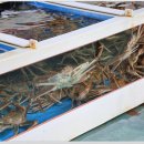 파도수산 앞 이미지