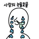 노아어린이집 이미지