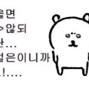 사케도로보