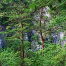 신선계곡 이미지