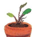 좋은 부모가 될 수 있을까요? 이미지