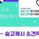 레슨인포