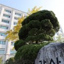 감사원, “잘못된 개발행위 묵인한 양평군 공무원 25명 징계 요구” 이미지