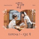 GOTCHA! 갓챠! 이미지