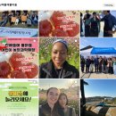 굿뜨래미식사업단