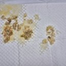 우리동물약품 이미지