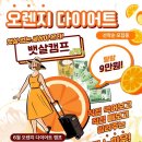 헬씨어트
