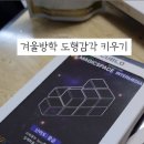 퍼즐 큐브 수학 | 6세 큐블로 매직큐브, 소마큐브 수학교구 솔직후기, (소마큐브 7종 퍼즐 카드) 엄마표수학