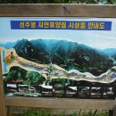 성주봉자연휴양림 이미지