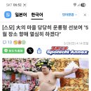 양요코즈나 5월도쿄 여름장소 토너먼트에 포부! 이미지