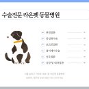 라온동물병원 | 송파 라온펫 동물병원, 강아지 건강검진 후기 (비용)
