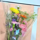 야간)꽃과 원예 | 제주패스파인더 패스 상담소 원예 치유 서포터즈 후기