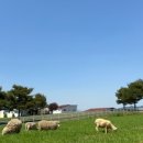 하동목장 이미지