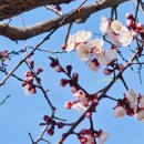 서귀포시 보훈회관 이미지