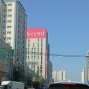 대학안경원 | 인천 난소종양·자궁근종 개복수술 후기 1탄｜대학병원 vs 여성병원 비교 (W여성병원 선택 이유)