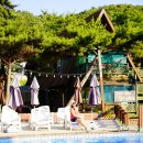 대천통나무소나무펜션 이미지