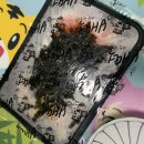 배떡연암점 | 울산 북구 송정/화봉동 떡볶이배달맛집 :: 배떡 연암점 (로제떡볶이주문방법)