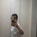 다이어트 보조제 추천 식물성카테킨 루틴업 가인핏 후기
