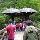 대이리군립공원 이미지